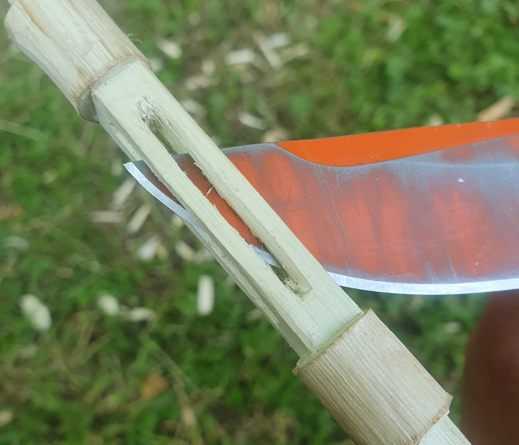acta non verba p200 trystick detail